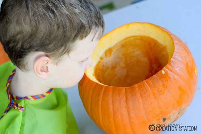 FREE parts of a pumpkin book for kindergarten and first grade fall science activity