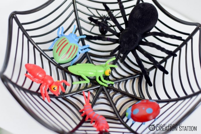 Spider Science Activities for Little Learners