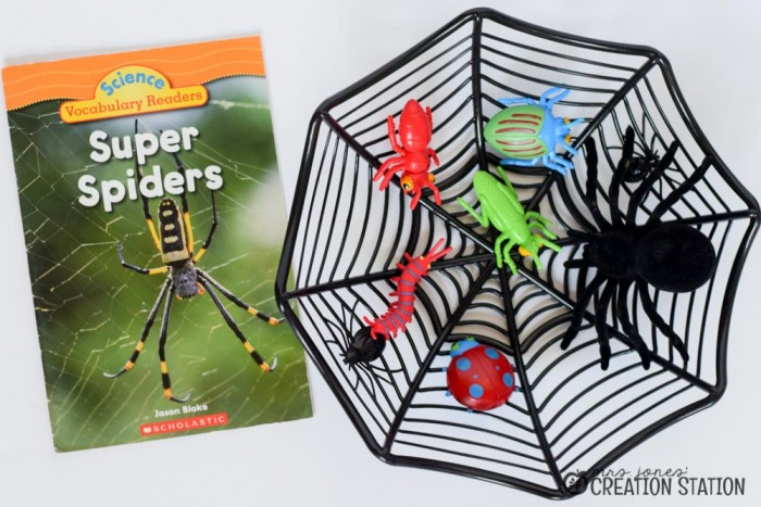 Spider Science Activities for Little Learners