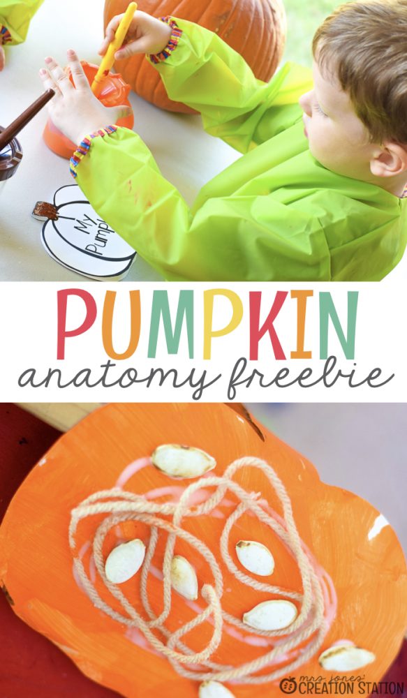 FREE parts of a pumpkin book for kindergarten and first grade fall science activity