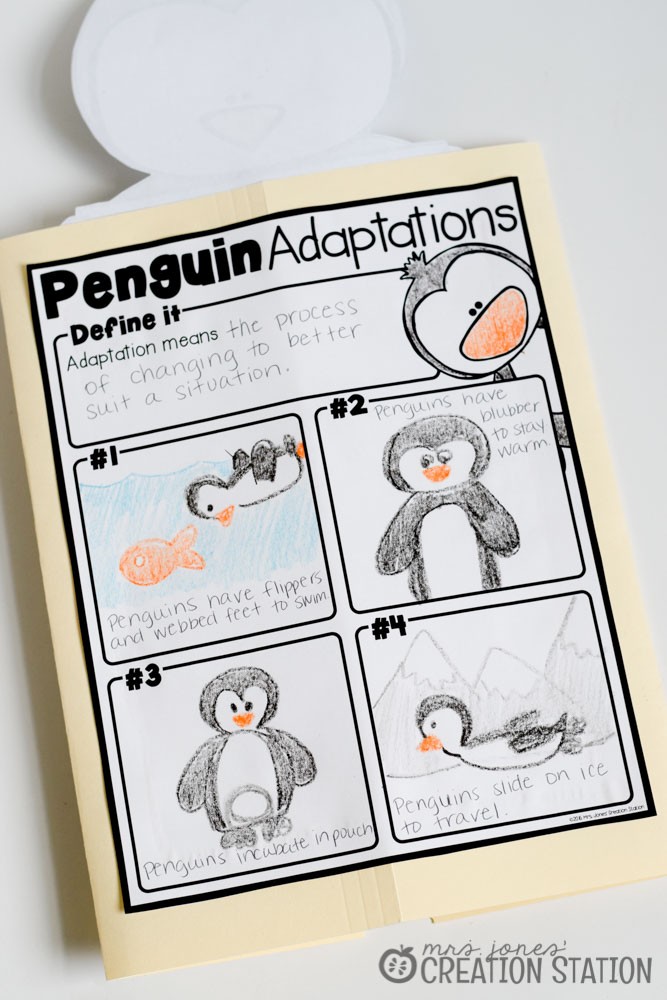 Penguin Science Lapbook - Mrs. Jones' Creation Station