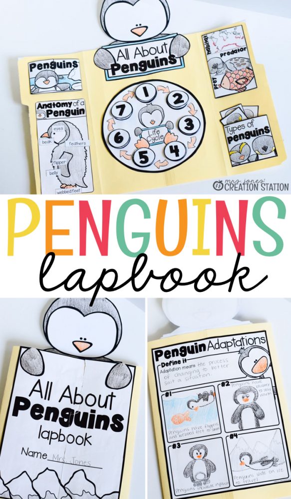 Penguins Lapbook