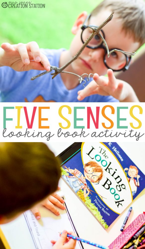 Five Senses Sight Looking Book Activity
