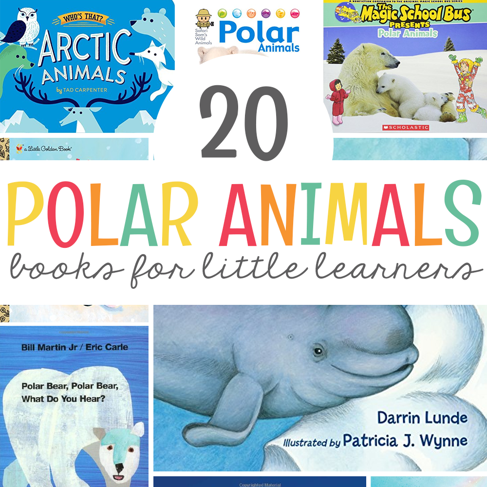 20 Polar Animals Books For Little Learners Mrs Jones Creation Station