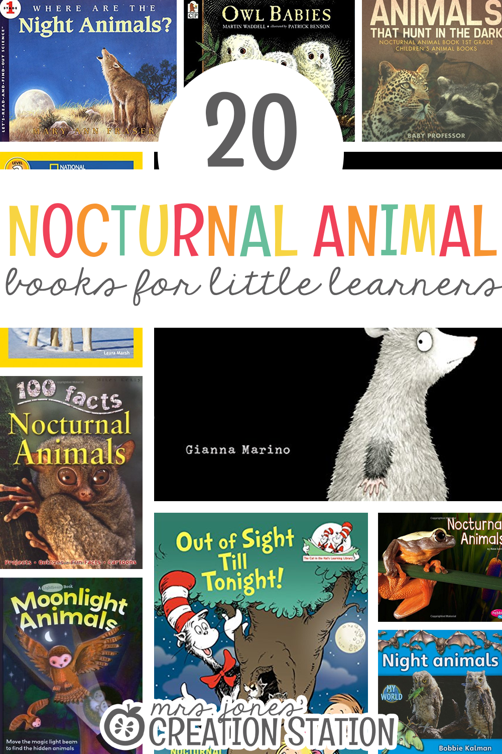 20 Nocturnal Animals Book List Mrs Jones Creation Station