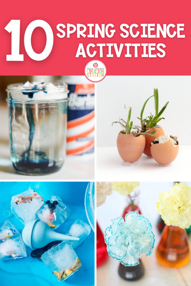Spring Science Activities for Little Learners- Mrs. Jones Creation Station